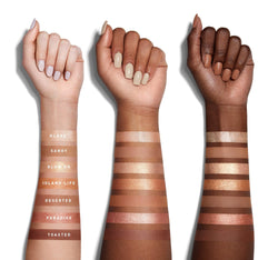 Paleta de sombras Bronze Goals Morphe - Eva Store